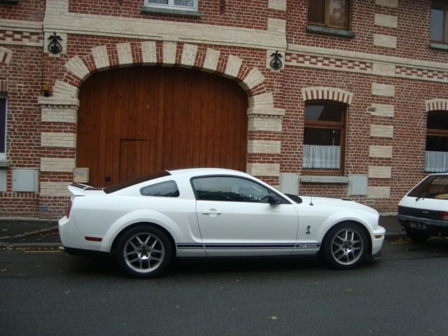 shelby 500 2008.JPG